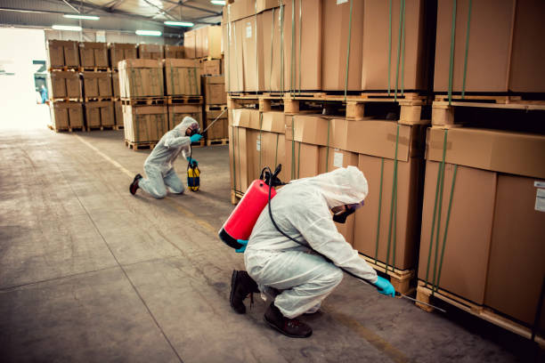 Professional Pest Control in Calipatria, CA