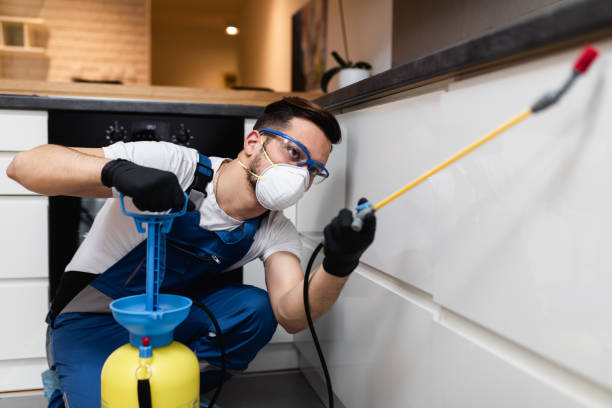 Best Pest Removal Services  in Lipatria, CA
