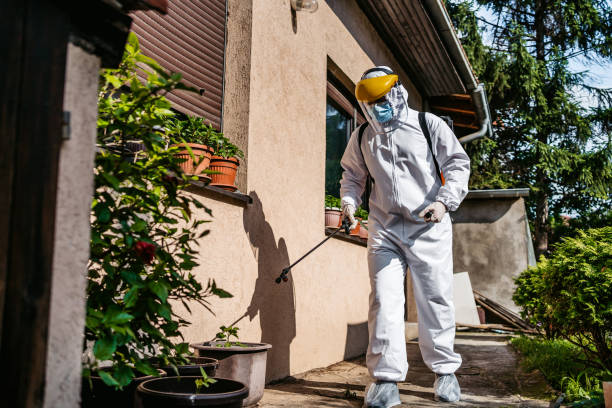 Best Rat Extermination Near Me  in Lipatria, CA