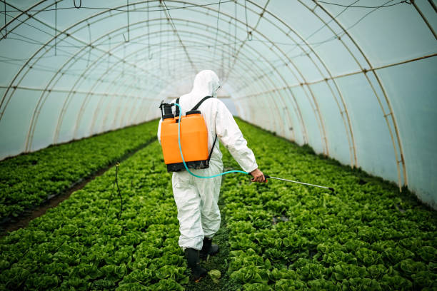 Best Local Pest Control Services  in Lipatria, CA