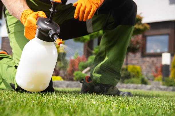 Best Wildlife Control Services  in Lipatria, CA