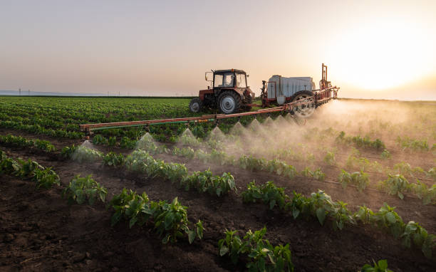 Best Pest Control Near Me in Calipatria, CA