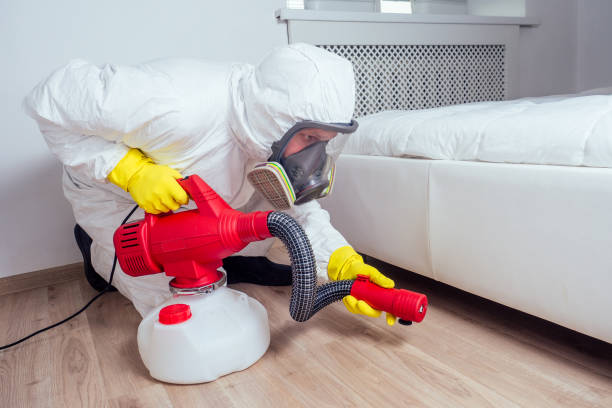 Best Affordable Pest Control Services  in Lipatria, CA