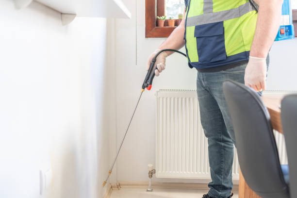 Best Termite Control Services  in Lipatria, CA