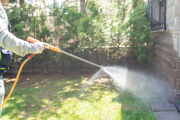 Best Local Pest Control Services  in Lipatria, CA