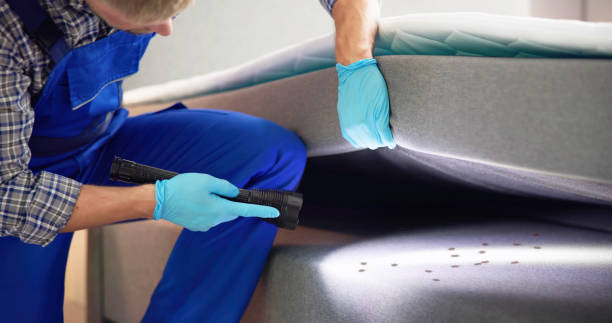 Best Exterminator Services  in Lipatria, CA