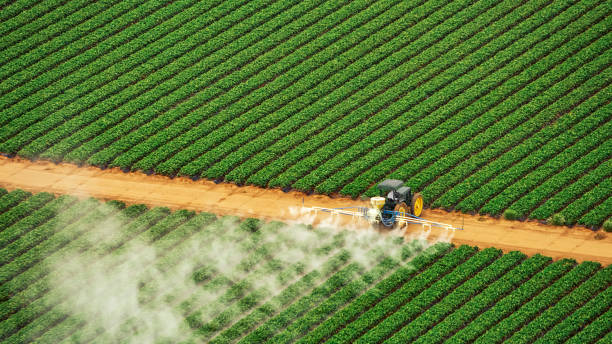 Best Commercial Pest Control Services  in Lipatria, CA