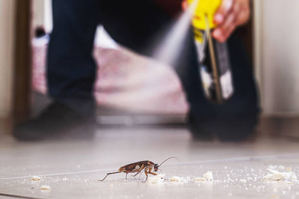 Best Pest Control for Homes  in Lipatria, CA